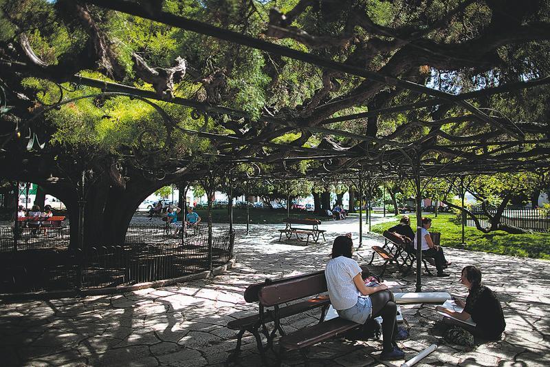 Lisbon Lovers المظهر الخارجي الصورة